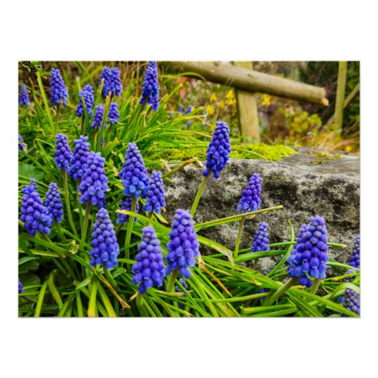 Bloemen Perfect Poster (Voorkant)