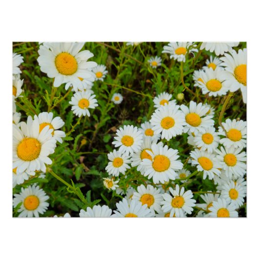 Bloemen Perfect Poster (Voorkant)