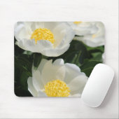Bloemen, pioenen muismat (Met muis)