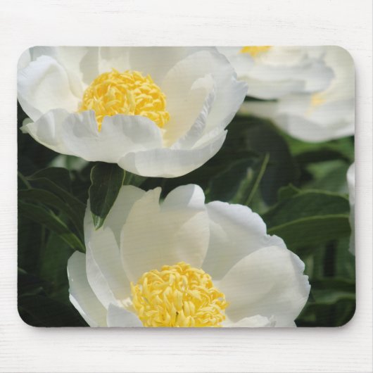 Bloemen, pioenen muismat (Voorkant)
