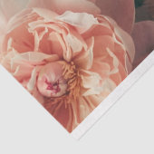 Bloemen  Pioenen Peach Pink Decoupage Tissuepapier (Detail)