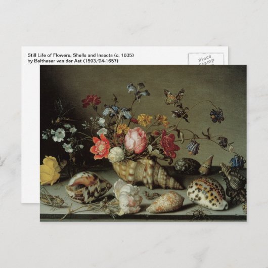 Bloemen, planken en insecten Balthasar van der Ast Briefkaart (Voorkant / Achterkant)