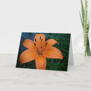 Bloemen & Planten Kaart