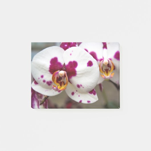 Bloemen Post-it® Notes (Voorkant)