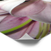 Bloemen Poster (Hoek)