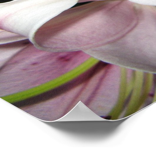 Bloemen Poster (Hoek)