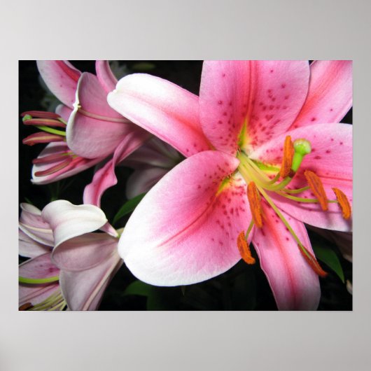 Bloemen Poster (Voorkant)