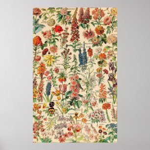 bloemen poster