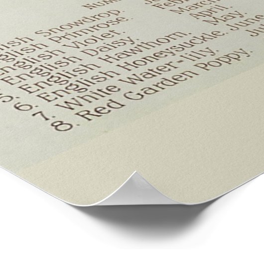 bloemen poster (Hoek)