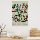 bloemen poster (Keuken)