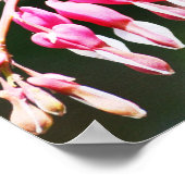 Bloemen Poster (Hoek)