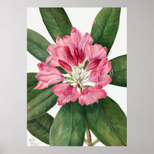 Bloemen Poster
