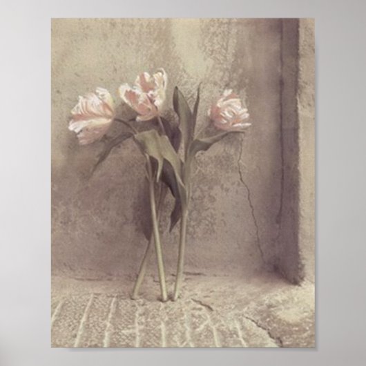bloemen poster (Voorkant)