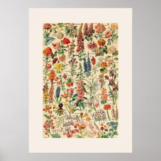  bloemen poster (Voorkant)