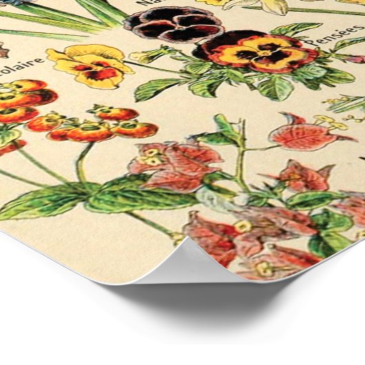 bloemen poster (Hoek)