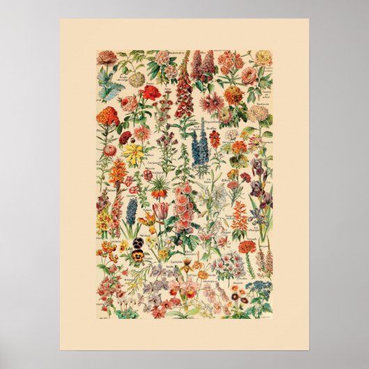  bloemen poster (Voorkant)