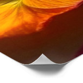  bloemen poster (Hoek)