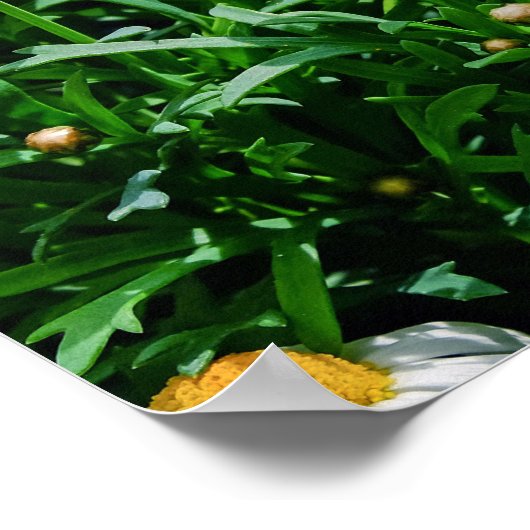 Bloemen Poster (Hoek)