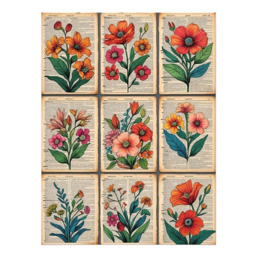 🌸  Bloemen Poster verouderd woordenboek papier (Voorkant)