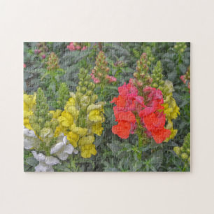  Bloemen Puzzel Snapdragon Bloemen Kleurrijk Legpuzzel