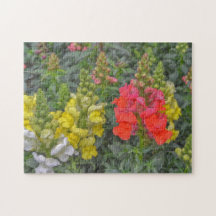 Bloemen puzzel Snapdragon kleurrijke puzzel