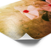 Bloemen Retro Afbeelding Kodak Professional Foto Foto Afdruk (Hoek)