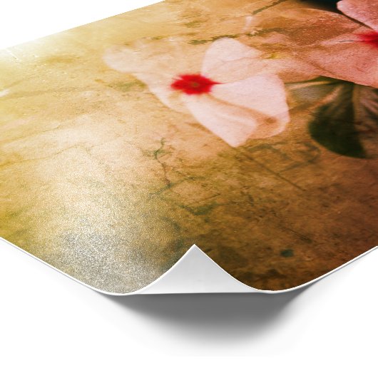 Bloemen Retro Afbeelding Kodak Professional Foto Foto Afdruk (Hoek)