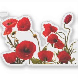 Bloemen Rode klaproos Kleurrijke Waterverf kunst Sticker