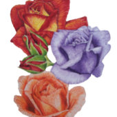 bloemen rode rozen en rozen bloemperken vierkante sticker