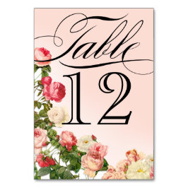 Bloemen Romance Roze Rozen Tafelnummers