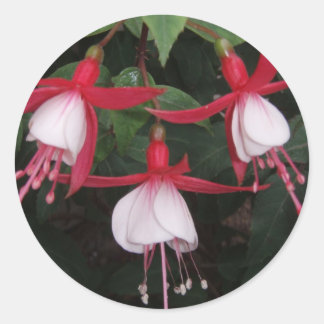 Bloemen Ronde Sticker