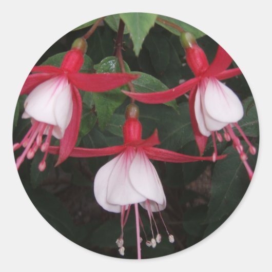 Bloemen Ronde Sticker (Voorkant)