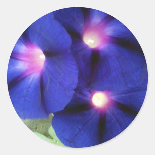 Bloemen Ronde Sticker (Voorkant)