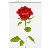 Bloemen Rood Rose Roos Hallo Bruiloft Liefde (Voorkant)