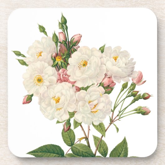  bloemen Roos van het Blush Noisette Bier Onderzetter (Voorkant)