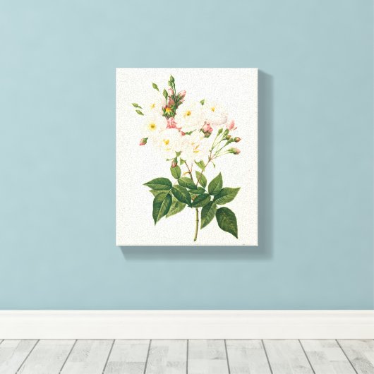  bloemen Roos van het Blush Noisette Canvas Afdruk (Insitu (Houten vloer))