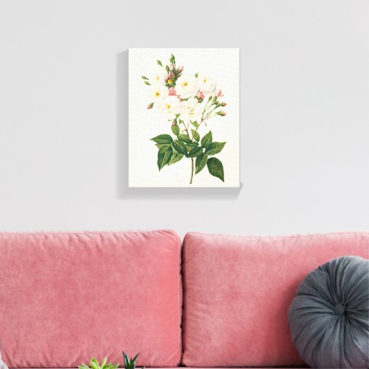  bloemen Roos van het Blush Noisette Canvas Afdruk (Insitu (Woonkamer))