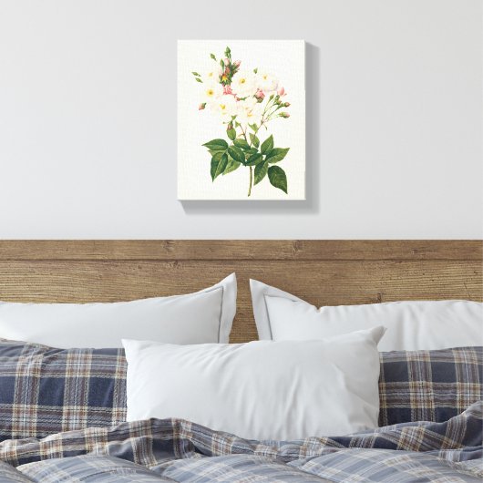  bloemen Roos van het Blush Noisette Canvas Afdruk (Insitu (Slaapkamer))