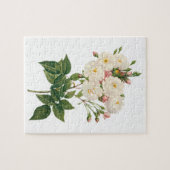 bloemen Roos van het Blush Noisette Legpuzzel (Horizontaal)