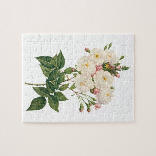  bloemen Roos van het Blush Noisette Legpuzzel (Horizontaal)