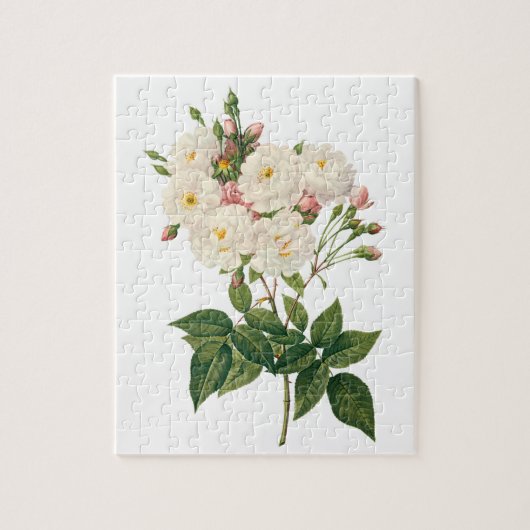 bloemen Roos van het Blush Noisette Legpuzzel (Verticaal)