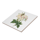 bloemen Roos van het Blush Noisette Tegeltje (Zijkant)