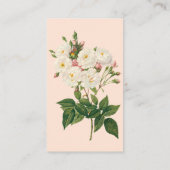 bloemen Roos van het Blush Noisette Visitekaartje (Achterkant)