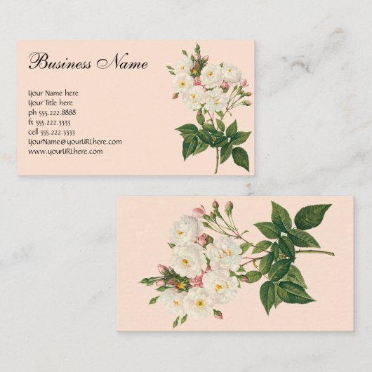  bloemen Roos van het Blush Noisette Visitekaartje (Voorkant / Achterkant)