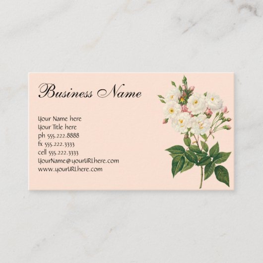 bloemen Roos van het Blush Noisette Visitekaartje (Voorkant)