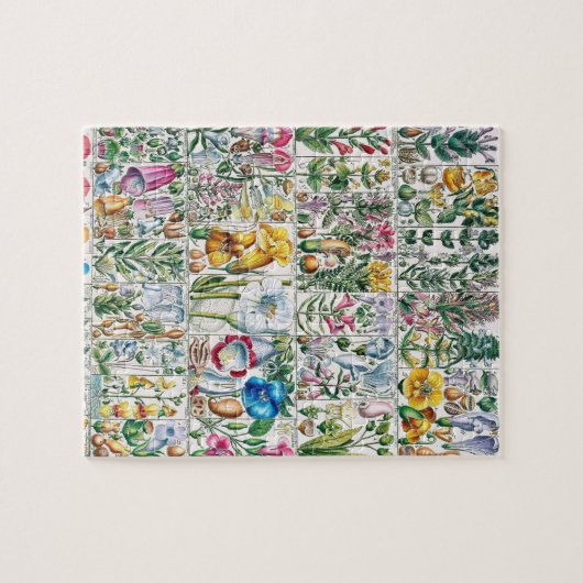  bloemen Roze Natuur Unieke vun Art Legpuzzel (Horizontaal)