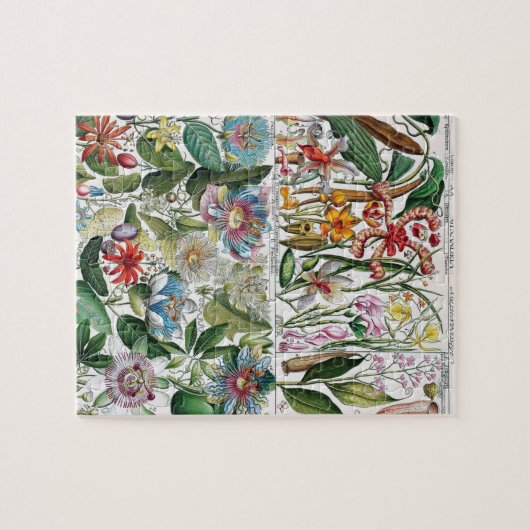  bloemen Roze Natuur Unieke vun Art Legpuzzel (Horizontaal)