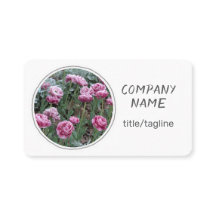 bloemen roze tulpen op wit