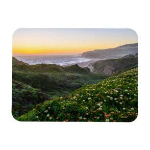 Bloemen   Santa Cruz California Magneet