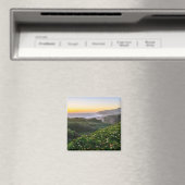 Bloemen | Santa Cruz Californië Magneet (Insitu (Vaatwasser))